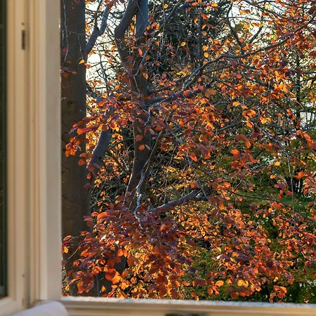 Rocawood - By Myhomeincomo *