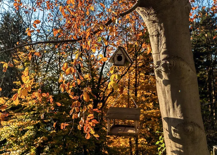 Rocawood - By Myhomeincomo Prázdninový dům Brunate