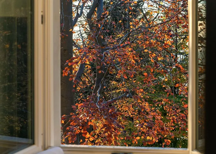 Rocawood - By Myhomeincomo *