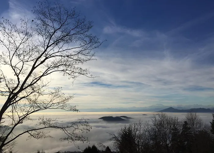 Rocawood - By Myhomeincomo