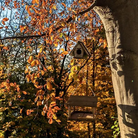 Rocawood - By Myhomeincomo Hébergement de vacances Brunate