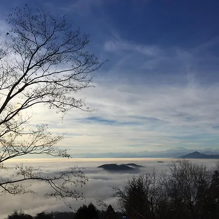 Rocawood - By Myhomeincomo